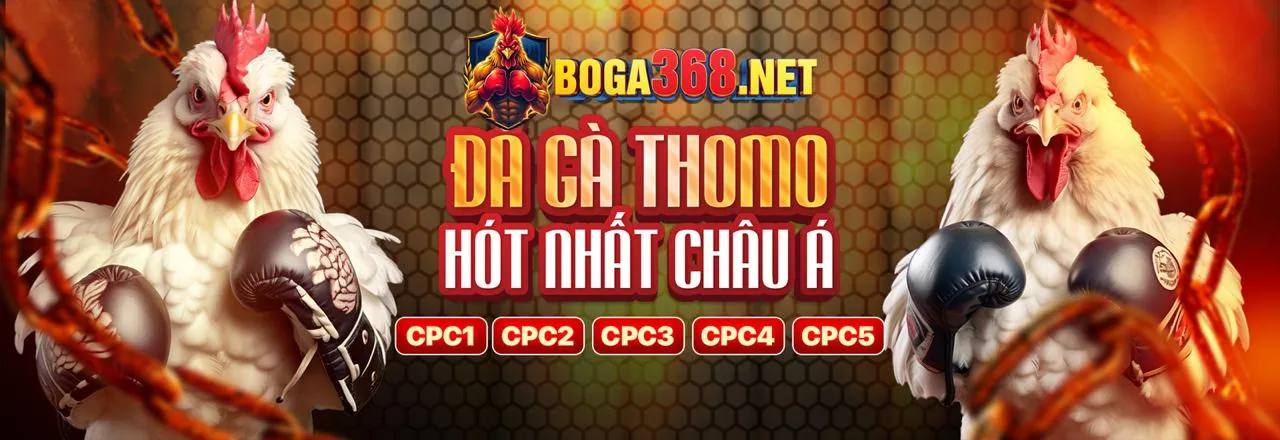 Sân vận động V8Bet với hàng ngàn người hâm mộ và ánh đèn rực rỡ, thể hiện không khí cá cược thể thao sôi động.